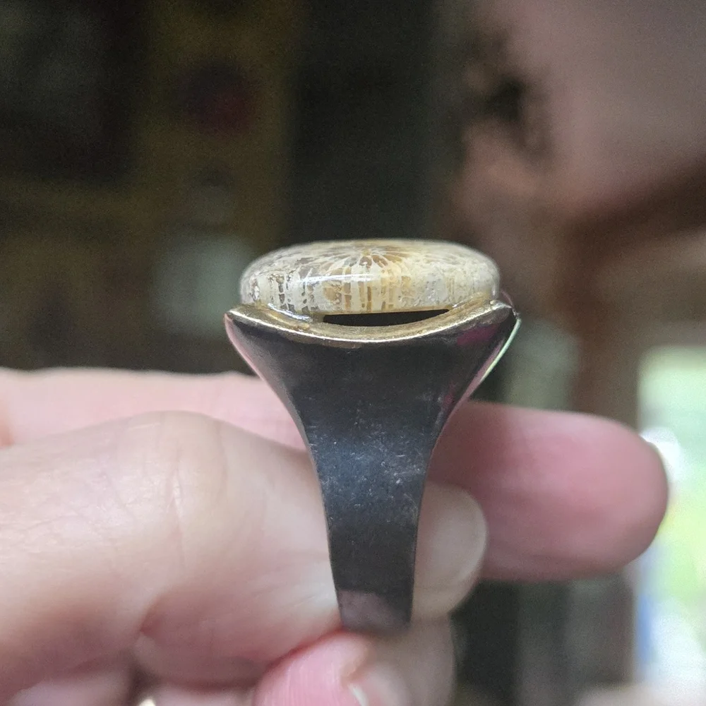 Coral Fossil Stone sterling rhodium & gold Ring sz9 - Picture 5 of 8